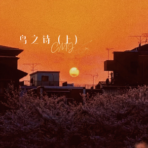 窝窝九色成人影院
