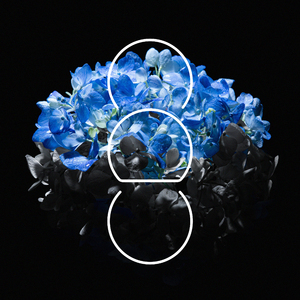 窝窝九色成人影院
