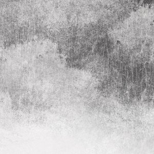 窝窝九色成人影院
