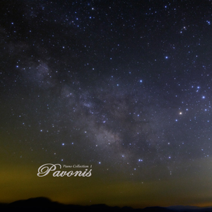 窝窝九色成人影院
