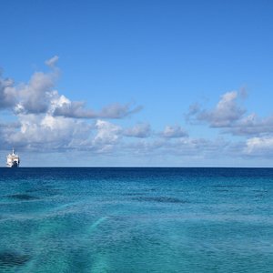 窝窝九色成人影院
